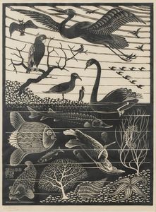 Maurits Cornelis Escher - Il Quinto giorno della Creazione