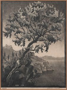 Maurits Cornelis Escher - L'albero del Carrubo