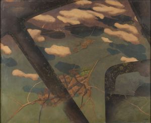 Renato Di Bosso - Poesia del volo