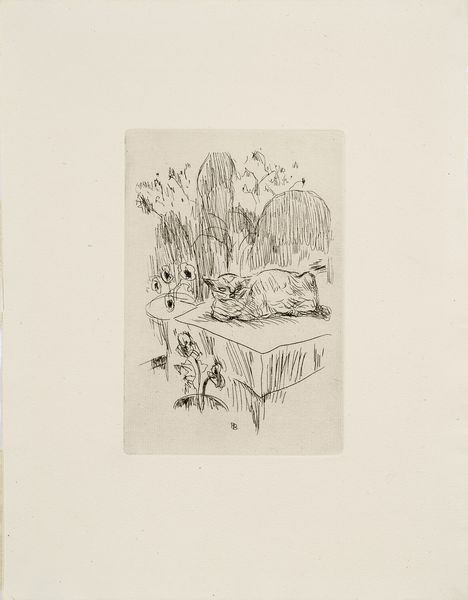 Pierre Bonnard : Le chat  - Asta Dipinti, Disegni, Sculture e Grafica - Associazione Nazionale - Case d'Asta italiane