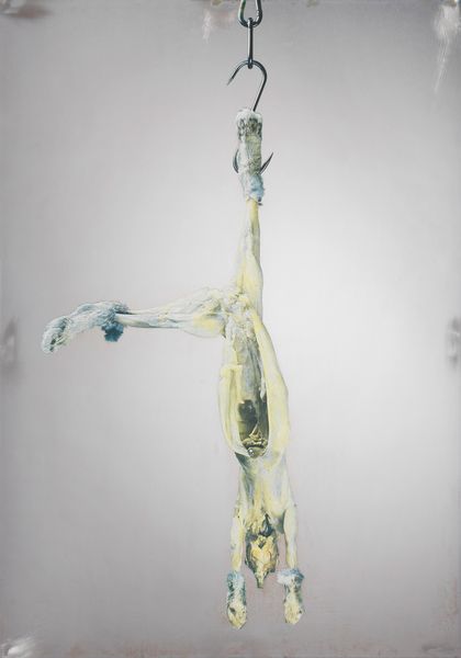 MICHELANGELO PISTOLETTO : Coniglio  - Asta Dipinti, Disegni, Sculture e Grafica - Associazione Nazionale - Case d'Asta italiane