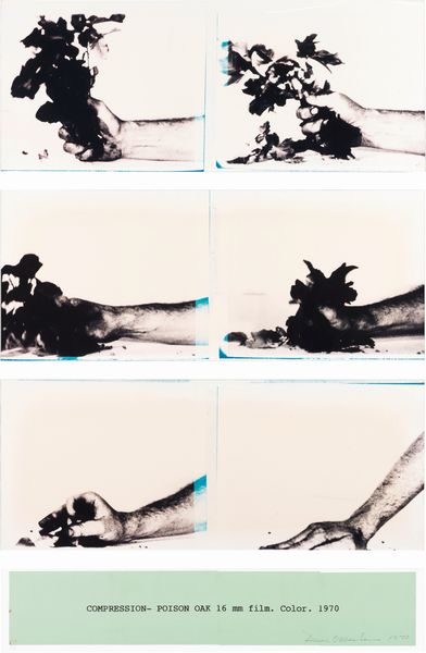 Dennis Oppenheim : Compression - Poison Oak  - Asta Dipinti, Disegni, Sculture e Grafica - Associazione Nazionale - Case d'Asta italiane