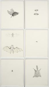Kiki Smith - Bird, Moth, Bat, Bee, Fly, Squirrel