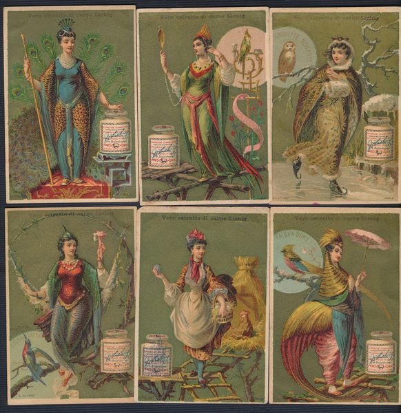 1883/85 - Figurine Liebig - Serie �Uccelli donne 2�� (Sang. 165)  - Asta Filatelia e Storia Postale - Associazione Nazionale - Case d'Asta italiane