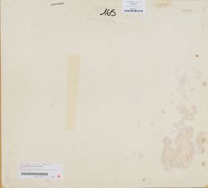 EMILIO SCANAVINO : Senza titolo  - Asta Arte Moderna e Contemporanea - Associazione Nazionale - Case d'Asta italiane