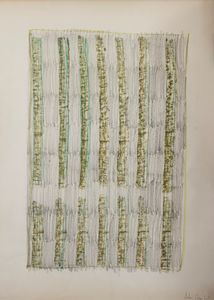 Arturo Vermi - Diari