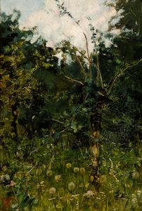 Andrea Tavernier - Bosco