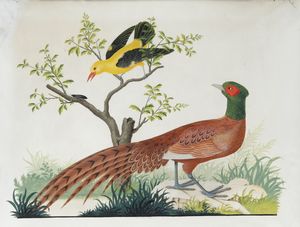 Vittorio Raineri (Genova 1797 – Milano 1869) - Paesaggi con volatili