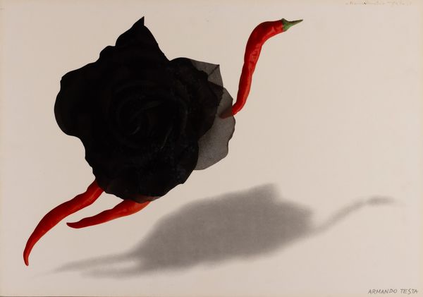 Armando Testa : Vedova allegra a Timbuct�  - Asta Fotografia - Associazione Nazionale - Case d'Asta italiane