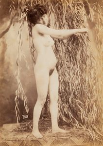 Gaudenzio Marconi, Attribuito a - Senza titolo (Nudo)