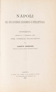 Alberto Marghieri - Napoli nel suo avvenire economico ed intellettuale.