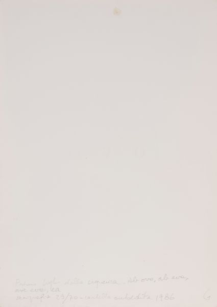 MIRELLA BENTIVOGLIO : ab ovo, ab eva, ave eva, ea  - Asta Multipli d'Autore - Associazione Nazionale - Case d'Asta italiane