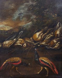 ARTISTA ITALIANO DEL XVII-XVIII SECOLO - Natura morta con cacciagione e pavoni