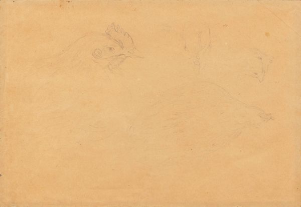 Filippo Palizzi : Studi di gallina  - Asta Arte Figurativa tra XIX e XX Secolo - Associazione Nazionale - Case d'Asta italiane