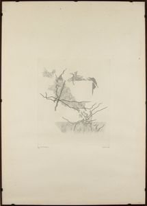 Artista non identificato : Inventario  - Asta Arte Moderna e Contemporanea - Associazione Nazionale - Case d'Asta italiane