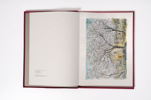 MICHELE CASCELLA : Anche l�anima ha le sue stagioni  - Asta Modern & Contemporary Prints - Associazione Nazionale - Case d'Asta italiane