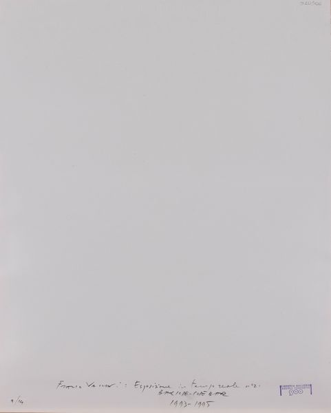Franco Vaccari : Esposizione in tempo reale n�21: Bar Code - Code Bar, soggetto numero 12 dal volume Esposizioni in tempo reale  1993-1995  - Asta Fotografia - Associazione Nazionale - Case d'Asta italiane