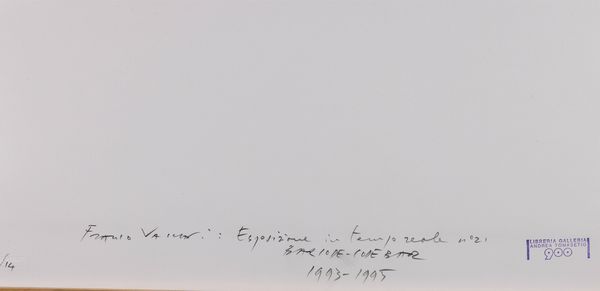 Franco Vaccari : Esposizione in tempo reale n�21: Bar Code - Code Bar, soggetto numero 12 dal volume Esposizioni in tempo reale  1993-1995  - Asta Fotografia - Associazione Nazionale - Case d'Asta italiane