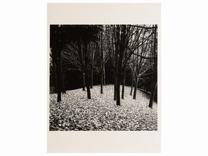 Pino Dal Gal - Paesaggio anni Cinquanta/Sessanta