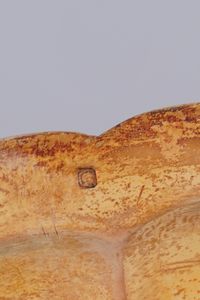 Dodici piatti. Francia, XIX secolo  - Asta Sei Secoli di Arti e Arredi - Associazione Nazionale - Case d'Asta italiane