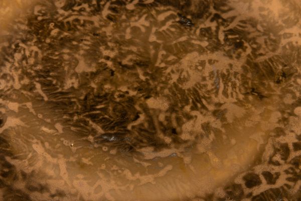 Piero Fornasetti, Milano 1960 ca  - Asta Ceramiche Italiane ed Europee del '900 - Associazione Nazionale - Case d'Asta italiane