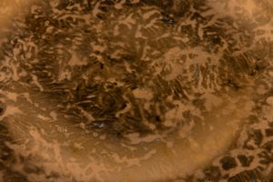 Piero Fornasetti, Milano 1960 ca  - Asta Ceramiche Italiane ed Europee del '900 - Associazione Nazionale - Case d'Asta italiane