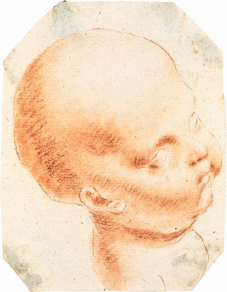 Scuola romana del XVIII secolo : Studio di testa di puttino  - Asta Disegni antichi - Associazione Nazionale - Case d'Asta italiane