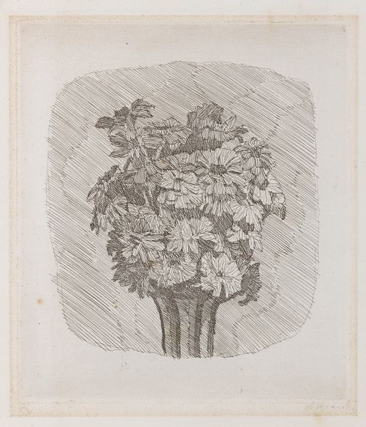 Giorgio Morandi : Zinnie in un vaso a strisce  - Asta Arte Moderna - Associazione Nazionale - Case d'Asta italiane