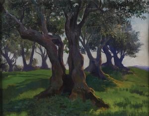 Carlo Montani - Ulivi