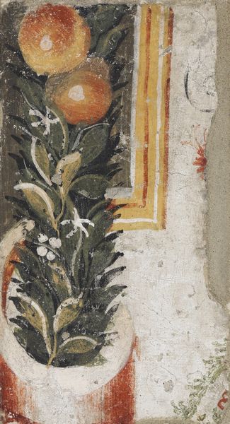 Insieme di ventisette strappi di affreschi, epoche varie  - Asta Dipinti antichi  - Associazione Nazionale - Case d'Asta italiane