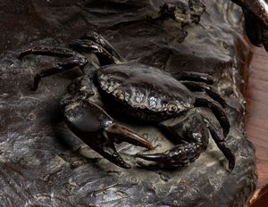 Giovanni De Martino : Giovane pescatore di granchi  - Asta  Arte moderna e contemporanea: XIX, XX, XXI secolo. Con una sezione dedicata alla ceramica del �900 - Associazione Nazionale - Case d'Asta italiane