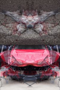 MAURO CUPPONE - Rorschach (Crash) Test #1ac. Dittico