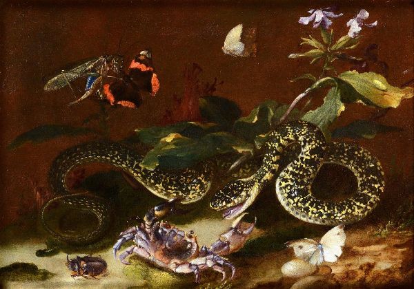 van Schrieck Otto marseus : Sottobosco con serpente, granchio, scarabeo e farfalle  - Asta Dipinti Antichi - Associazione Nazionale - Case d'Asta italiane