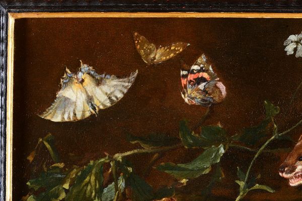 van Schrieck Otto marseus : Sottobosco con lucertola, donnola, farfalle e rospo  - Asta Dipinti Antichi - Associazione Nazionale - Case d'Asta italiane
