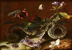 van Schrieck Otto marseus - Sottobosco con serpente, granchio, scarabeo e farfalle
