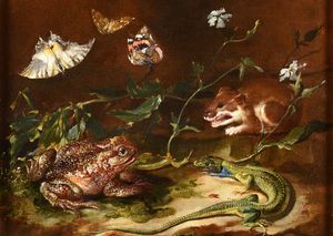 van Schrieck Otto marseus - Sottobosco con lucertola, donnola, farfalle e rospo