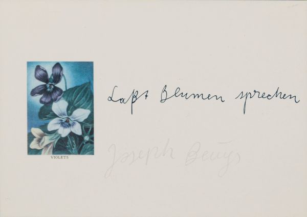 JOSEPH BEUYS : Lat Blumen sprechen  - Asta Grafica Internazionale e Multipli d'Autore - Associazione Nazionale - Case d'Asta italiane