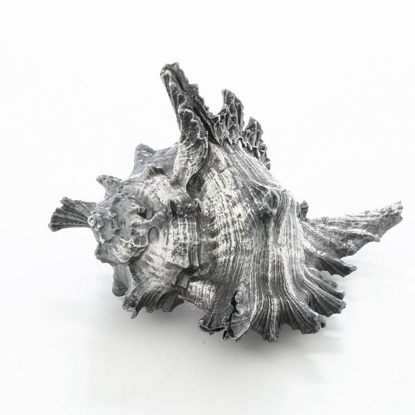 Conchiglia rivestita in argento. Argenteria italiana del XX secolo  - Asta Argenti e Icone - Associazione Nazionale - Case d'Asta italiane