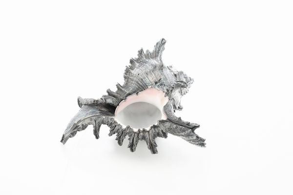 Conchiglia rivestita in argento. Argenteria italiana del XX secolo  - Asta Argenti e Icone - Associazione Nazionale - Case d'Asta italiane