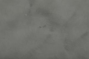 Piatto, piattino e centrotavola. Argenteria italiana del XX secolo  - Asta Argenti e Icone - Associazione Nazionale - Case d'Asta italiane