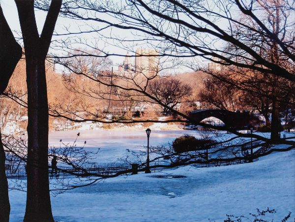 Enrico Vanzina : Woody Allen (Manhattan - New York)  - Asta Fotografia: Under 1K - Associazione Nazionale - Case d'Asta italiane