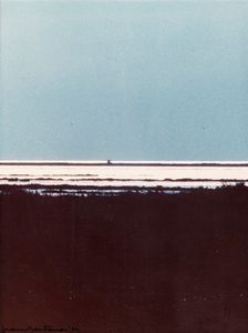 Franco Fontana - Senza titolo (Paesaggio)