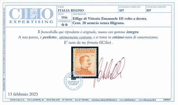 1916  Regno dItalia  20 cent. arancio Michetti, senza filigrana, dent. 13 x 13, gomma integra (Sass. 107).  - Asta Filatelia e Storia Postale - Associazione Nazionale - Case d'Asta italiane