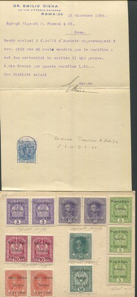 1918 - Regno dItalia - Occupazioni I guerra Mondiale - Terre Redente - Trentino-Alto Adige - Cartoncino manoscritto da Emilio Diena con applicate quattro coppie, una striscia di tre e due esemplari singoli dei francobolli del 1918, 3h. violetto, 10h. lacca, 15h. bruno rosso, 5h. verde giallo, 20h. verde scuro, 30h. violetto grigio e 50h. verde (Sass. 1, 2, 4, 6, 7, 9 e 11).  - Asta Filatelia e Storia Postale - Associazione Nazionale - Case d'Asta italiane