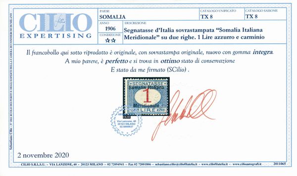 1906 - Colonie italiane - Somalia - Segnatasse - 1 lire azzurro e carminio (Sass. 8).  - Asta Filatelia e Storia Postale - Associazione Nazionale - Case d'Asta italiane