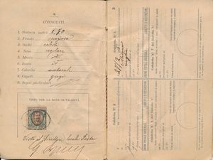 1904 - Regno dItalia - Libretto di Ricognizione per lestero emesso a Milano il 22 novembre con 1 lira bruno e verde Floreale (Sass. 77).  - Asta Filatelia e Storia Postale - Associazione Nazionale - Case d'Asta italiane