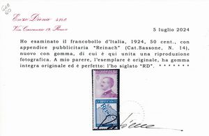 1924  Regno dItalia  Francobolli pubblicitari  50 cent. violetto e azzurro REINACH (Sass. 14).  - Asta Filatelia e Storia Postale - Associazione Nazionale - Case d'Asta italiane