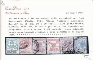 1924  Regno dItalia  Enti parastatali  CASSA NAZIONALE ASSICURAZ. SOCIALI serie completa usata (Sass. S.2904).  - Asta Filatelia e Storia Postale - Associazione Nazionale - Case d'Asta italiane