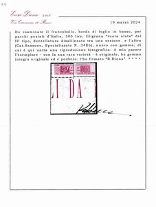 1948  Repubblica italiana  Pacchi postali - 300 lire lilla bruno bdf, filigrana ruota, variet dentellatura non allineata (Sass. Spec. 34Eb).  - Asta Filatelia e Storia Postale - Associazione Nazionale - Case d'Asta italiane
