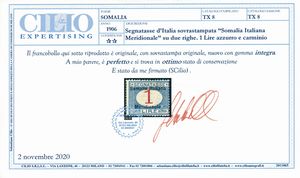 1906 - Colonie italiane - Somalia - Segnatasse - 1 lire azzurro e carminio (Sass. 8).  - Asta Filatelia e Storia Postale - Associazione Nazionale - Case d'Asta italiane